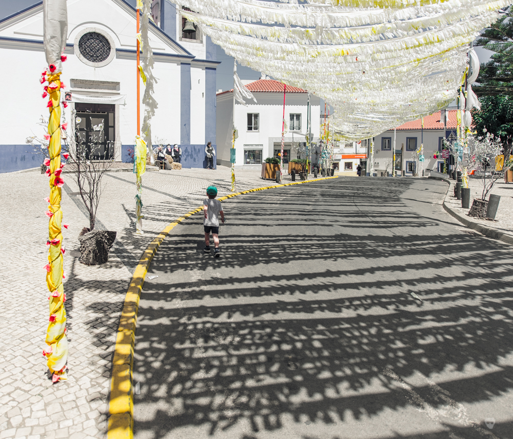 festival dos mastros sao teotonio.jpg